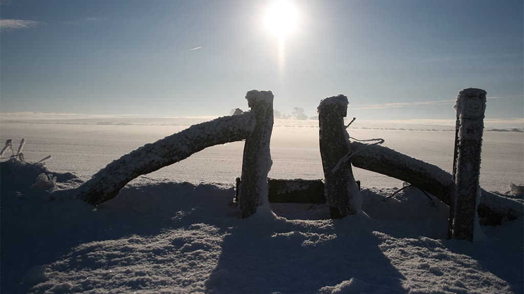 Lokes Høje, barrow