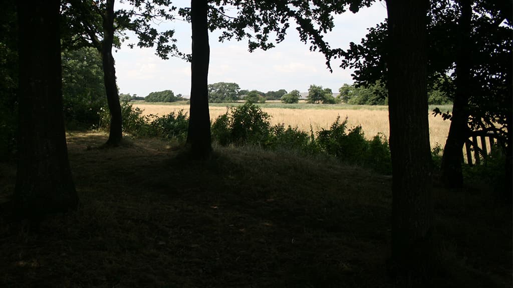 Campsite - Frihedsbroen, Københoved