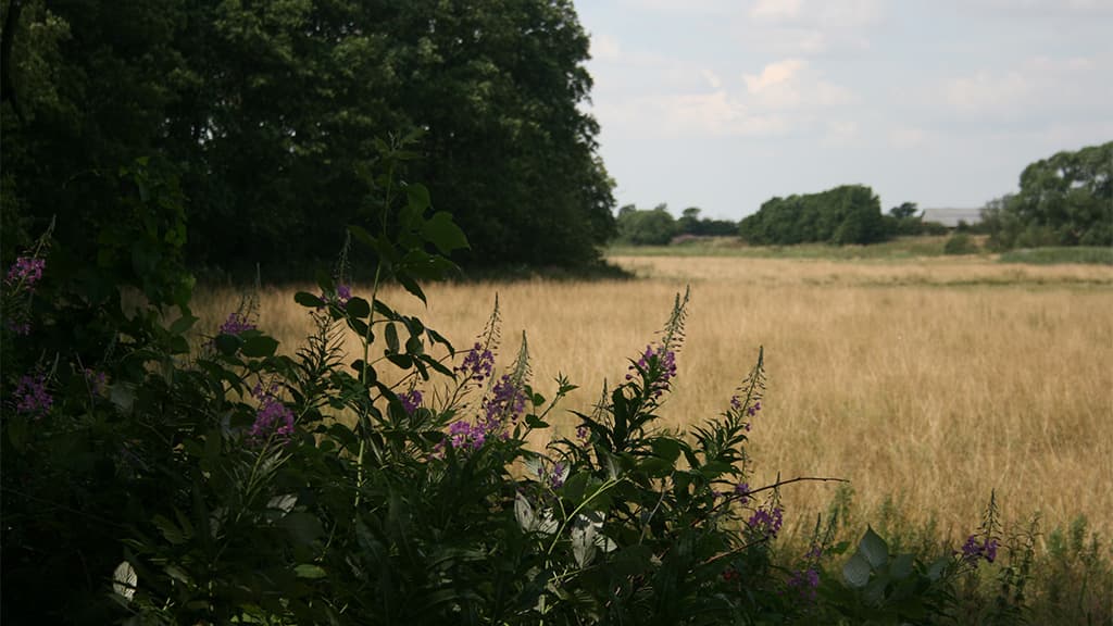 Campsite - Frihedsbroen, Københoved