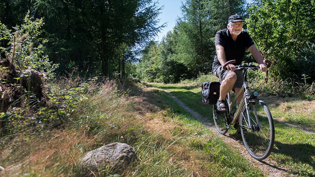 Stursbøl Plantage - the Ancient Road