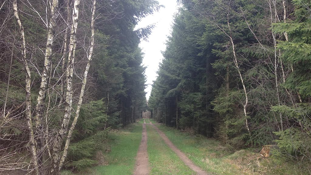 Walking Route Skodborg Forest