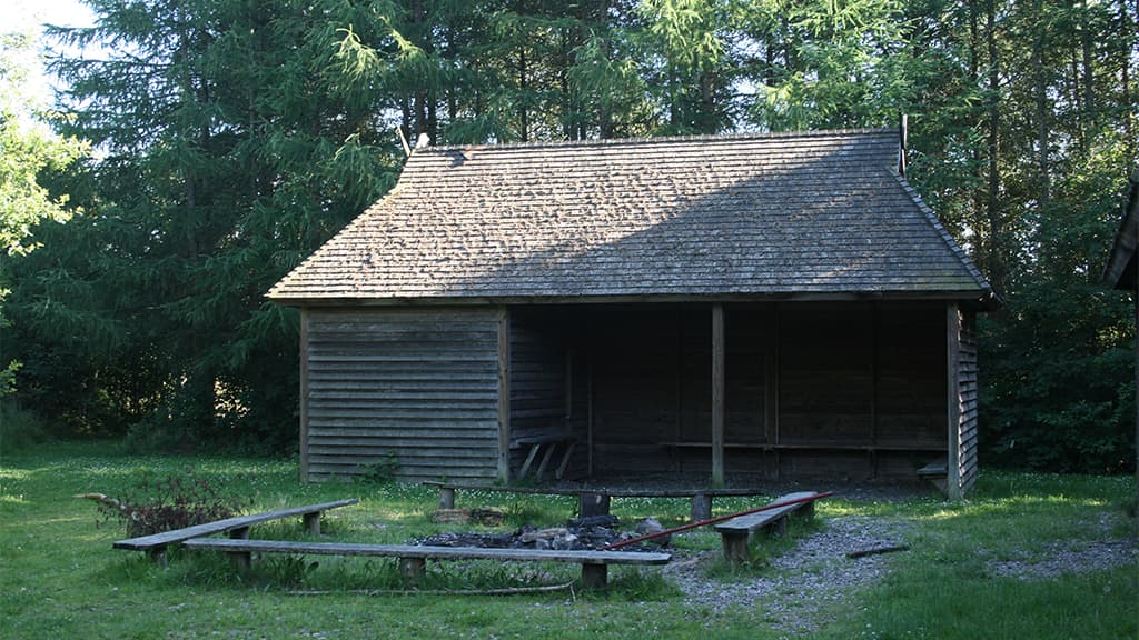 Skoleskoven, shelter by Vejen