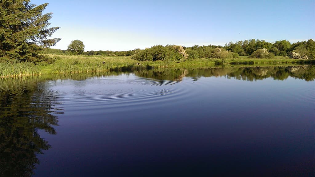 Drostrup Fiskesø
