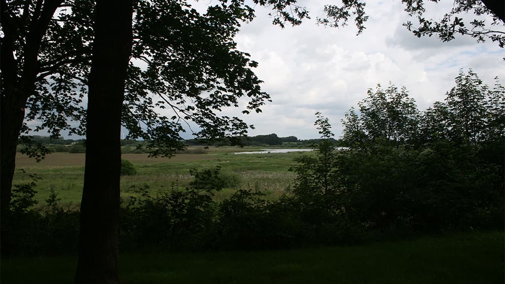 Gamst søenge