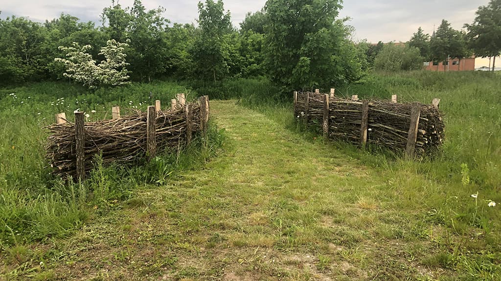 Grønvangpark ved Vejen - vild med vilje langs Hærvejen