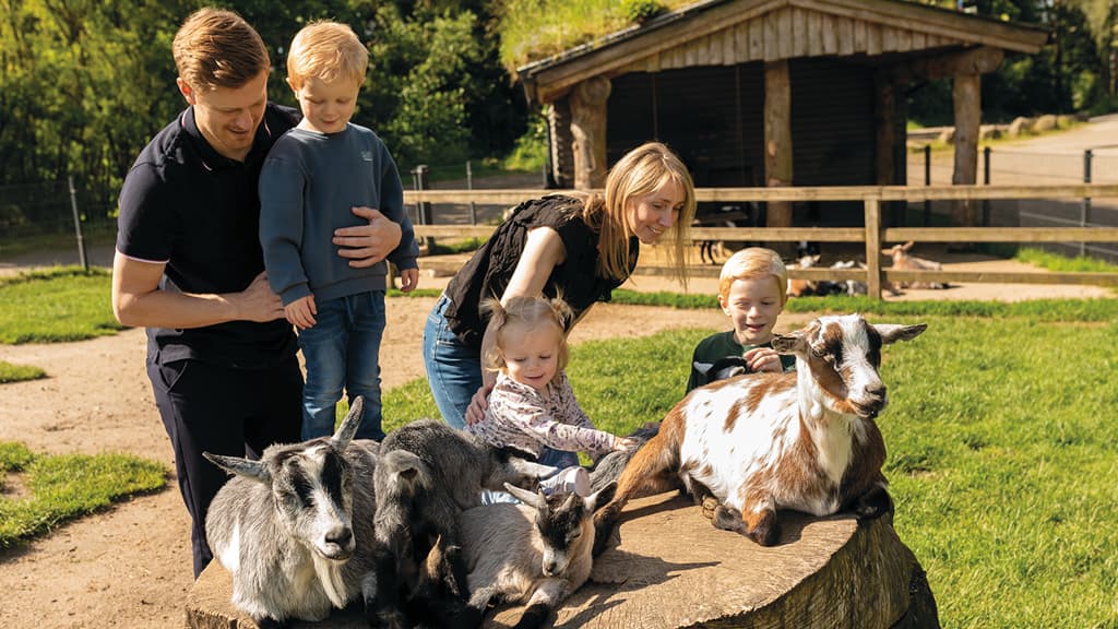 Eine Familie streichelt Ziegen, die auf einem Baumstumpf im GIVSKUD ZOO ruhen, während die Kinder fröhlich Zeit mit den Tieren in der Sonne verbringen.