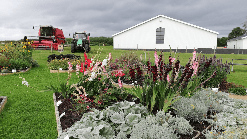 Flower beds and agricultural machines at Tinnetgaard