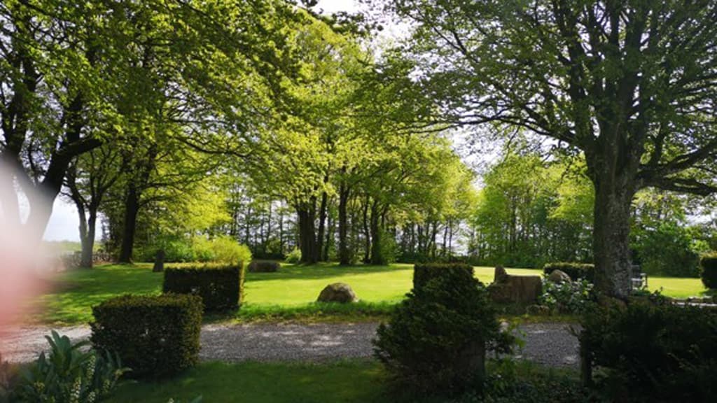 Bøgehus B&B