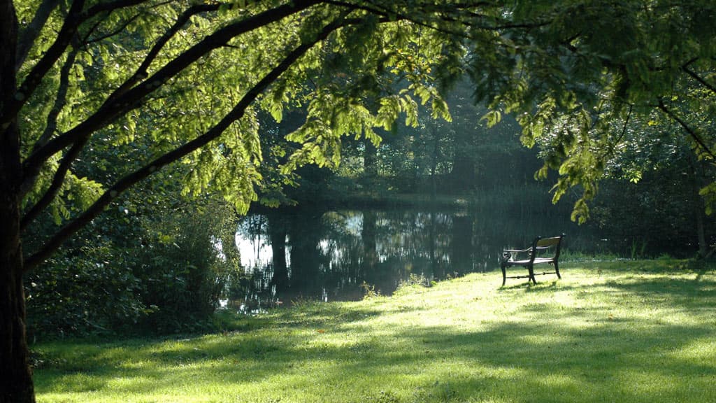 Brandbjerg Manor's park where a bench is placed close to a beautiful lake and surrounded by trees.