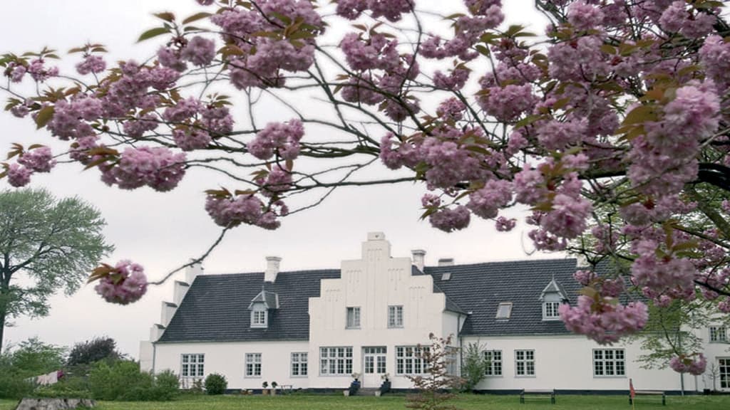 Pink cherry blossoms on a tree surround the facade of Brandbjerg Manor in the photo.
