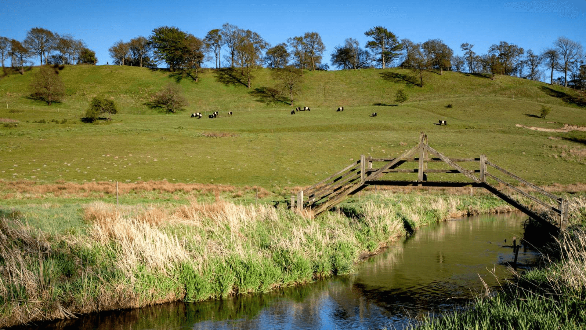The nature area at Vejle and Egtved River Valleys
