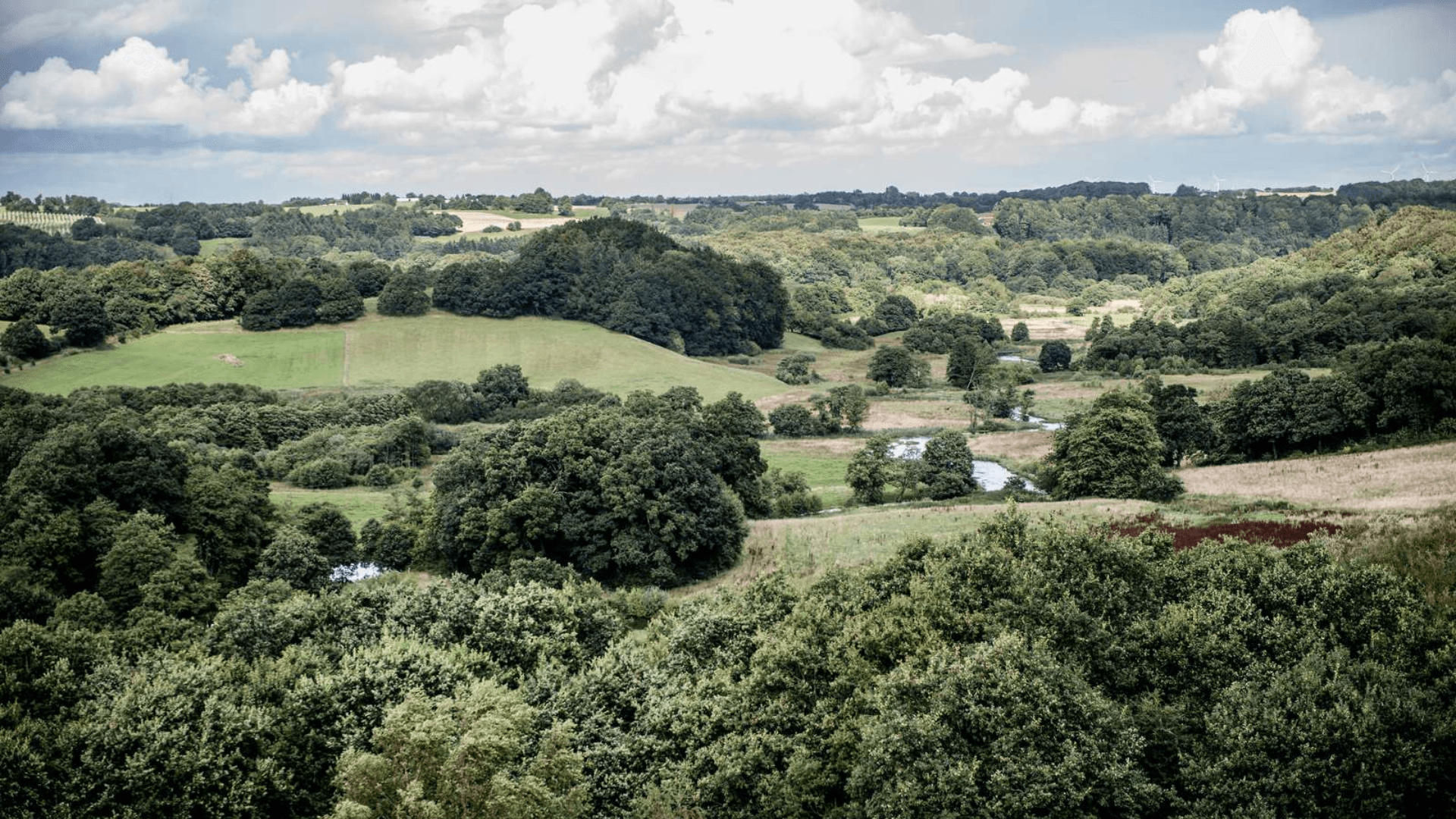 The nature area at Vejle and Egtved River Valleys