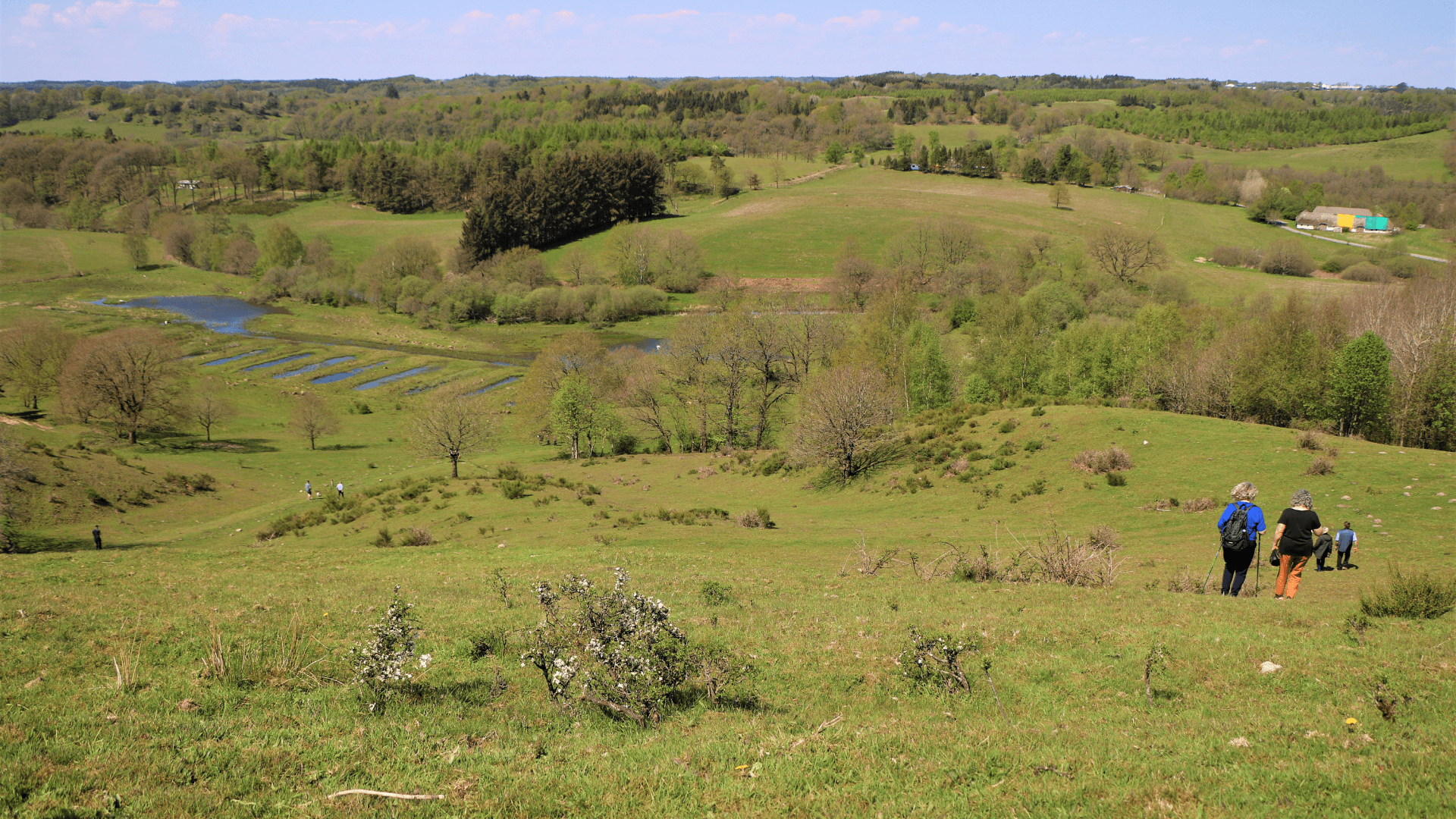 The nature area at Vejle and Egtved River Valleys