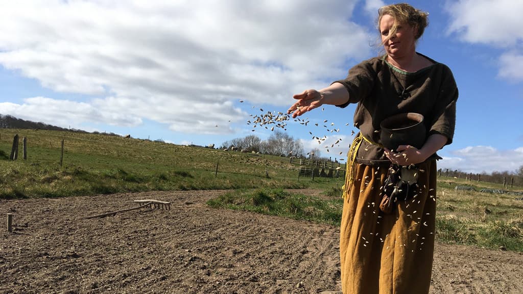Vingsted Iron Age