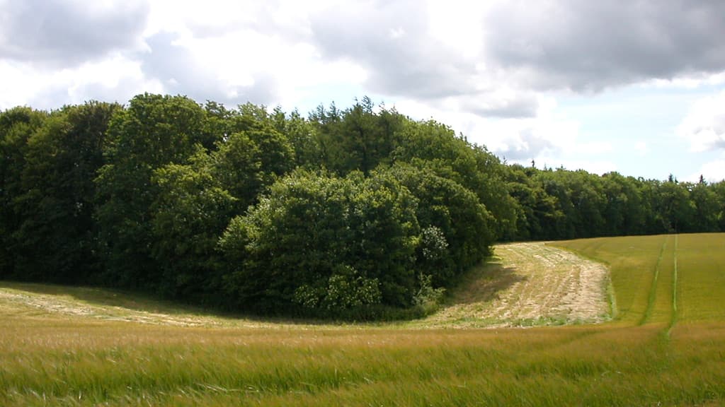 Troldborg Ring (Bronze Age fortress)