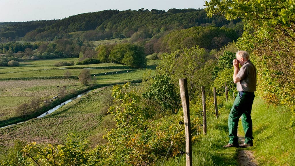 The nature area at Vejle and Egtved River Valleys