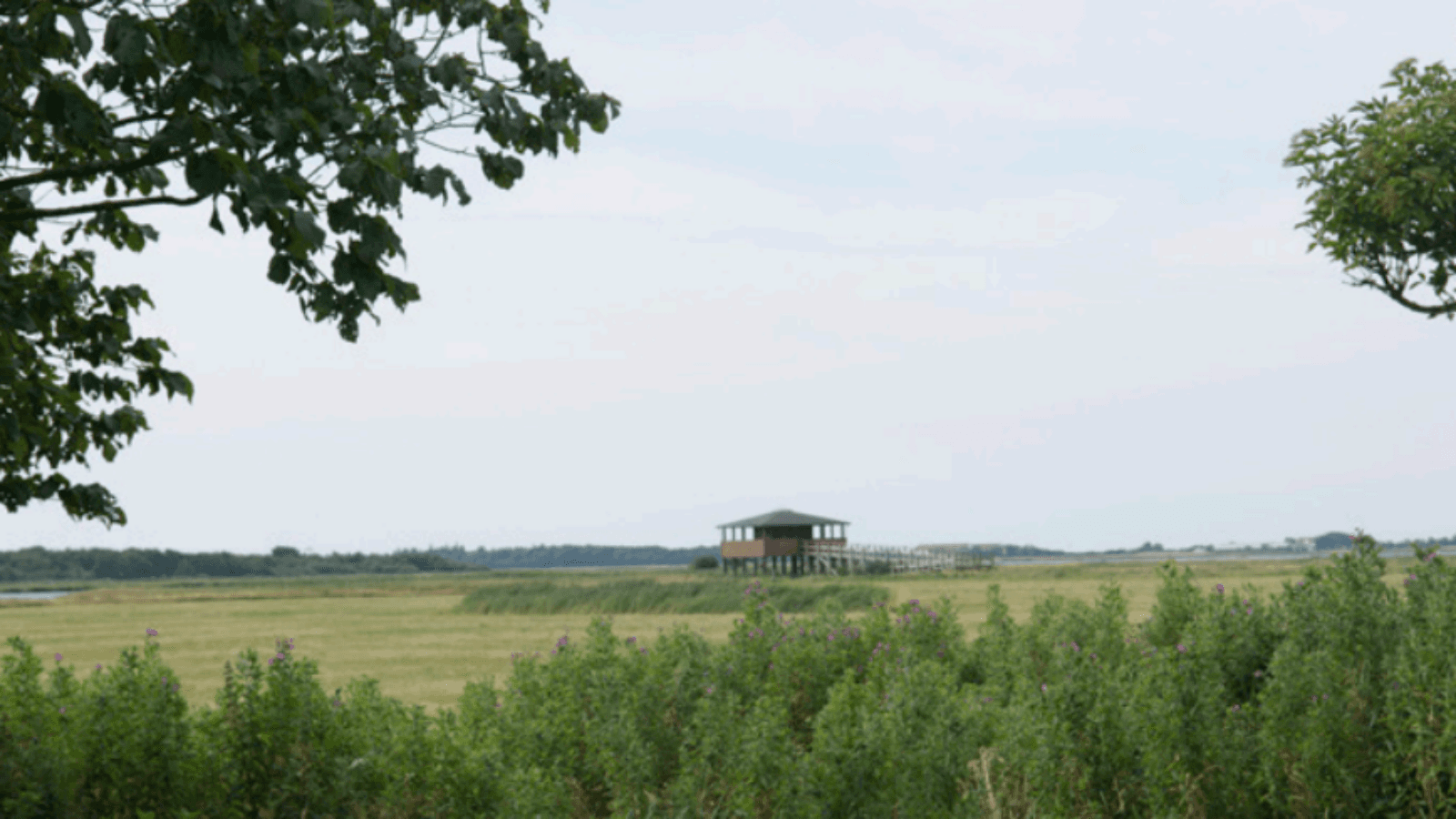Shelter Skivum