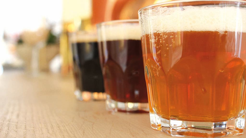 Bies Brewery (Bies Bryghus)