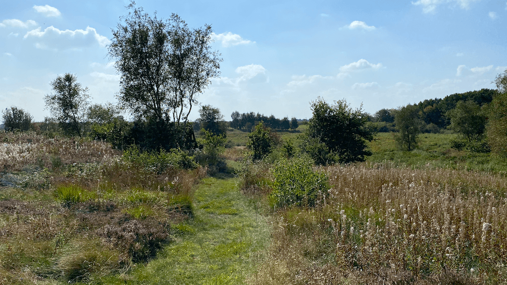 The Foxmoor