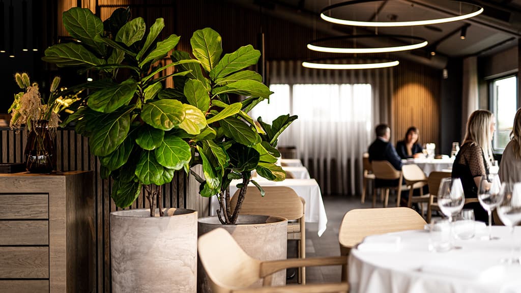 Restaurant Himmerriget im HimmerLand