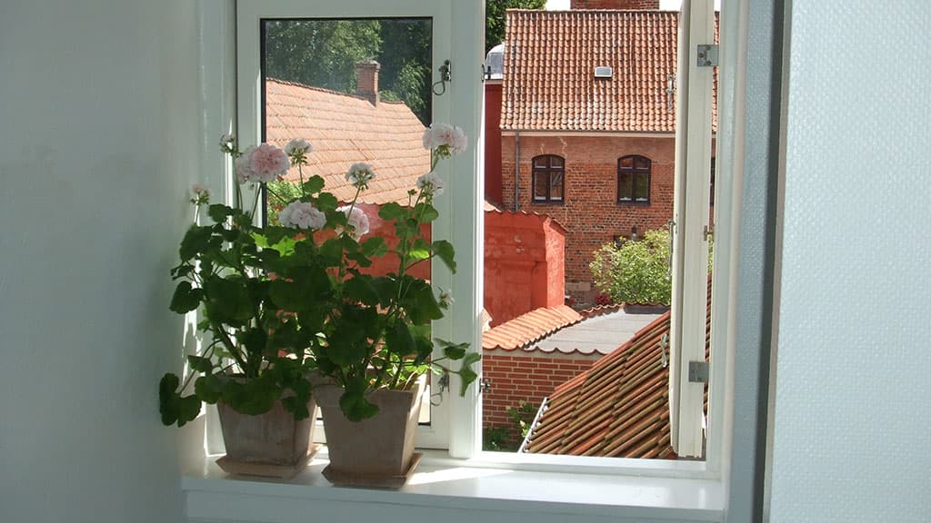 Bed & Breakfast Nattely in Viborg City