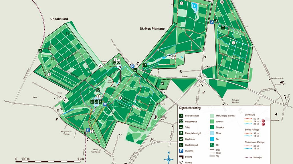 Undallslund Skov