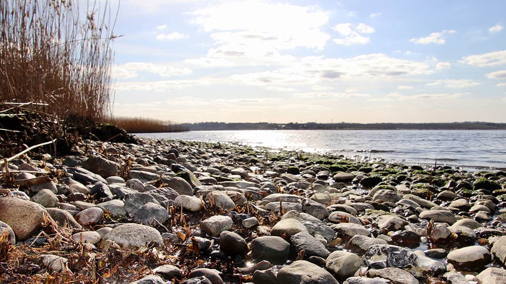 Hjarbæk Fjord