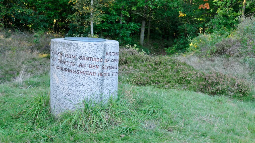 Dog-friendly forests in Viborg