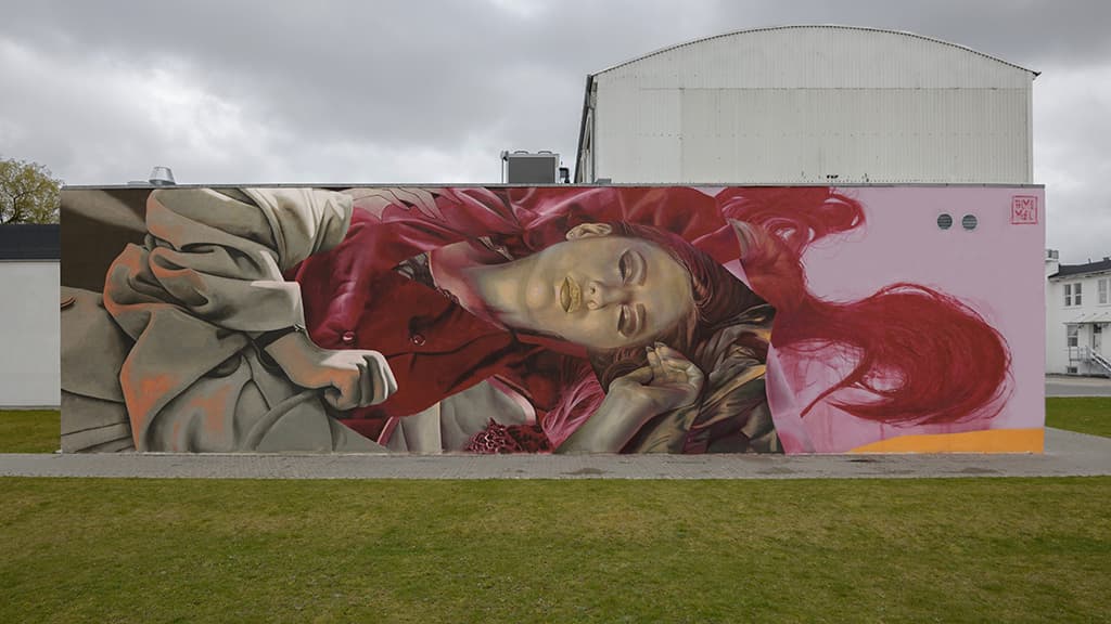 Street art "Out in the Open" - Telmo Miel - Hjulmagervej 55