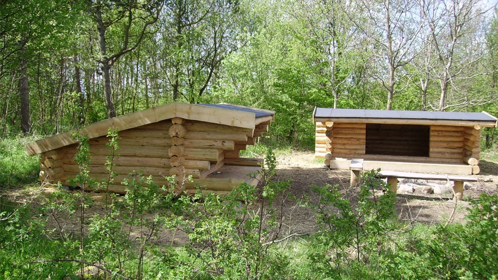 The Horse Shoe - Camp site