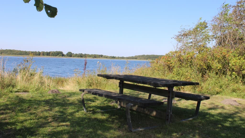 Aalborg Camping
