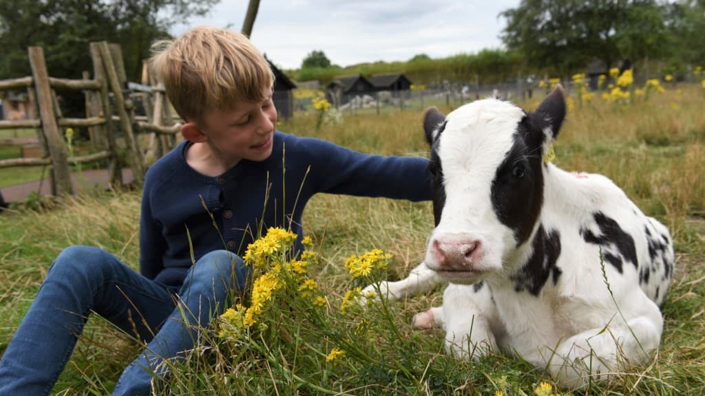 Nymarksminde Farm Holidays