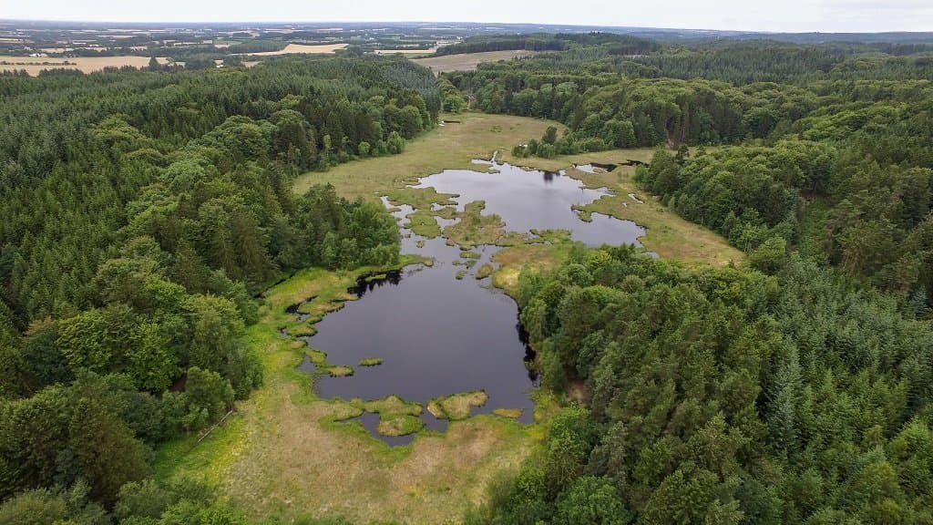 Dronninglund Forest and Sømosen