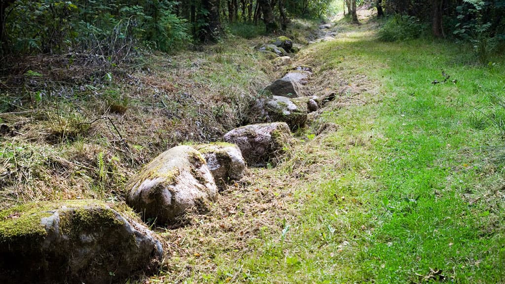 Store Vildmose High Bog