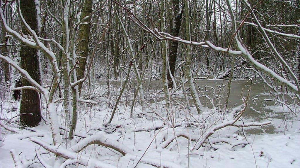 Lindholm Fjordpark