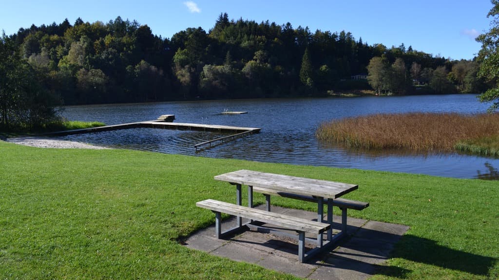 Bryrup Langsø
