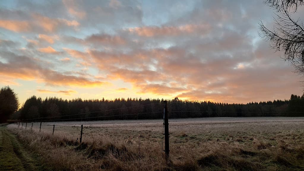 Kongsø b&b - a view over the fields