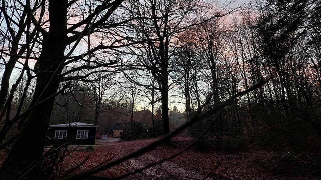 Kongsø b&b in the middle of the forest