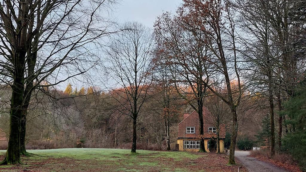 Kongsø b&b in the middle of the forest
