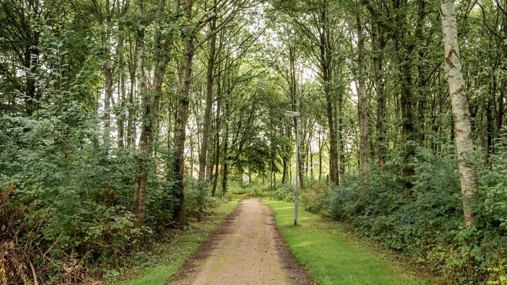 Heart Trail - Nørre Snede